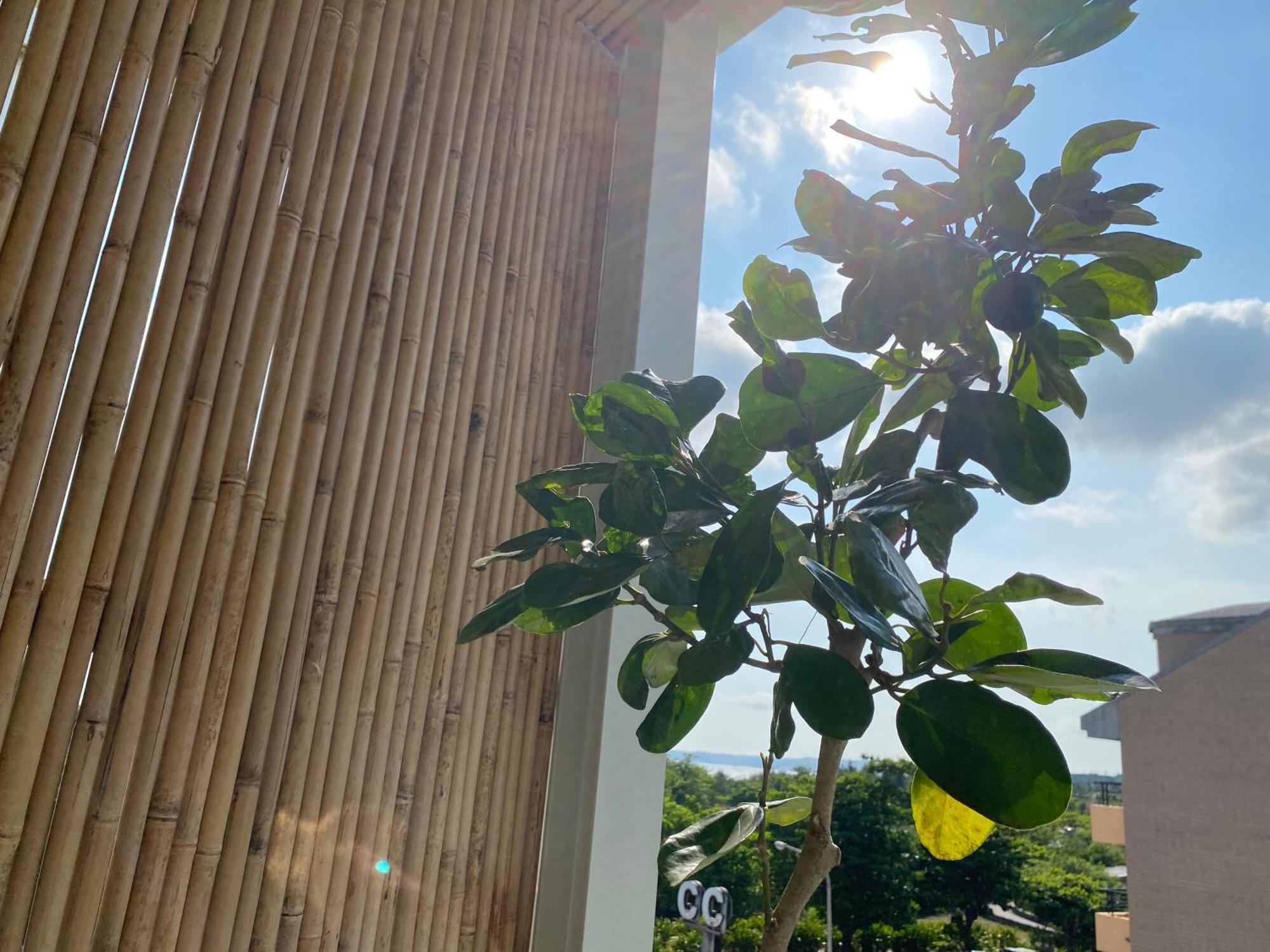 The Deer Head Inn Kenting Exterior foto